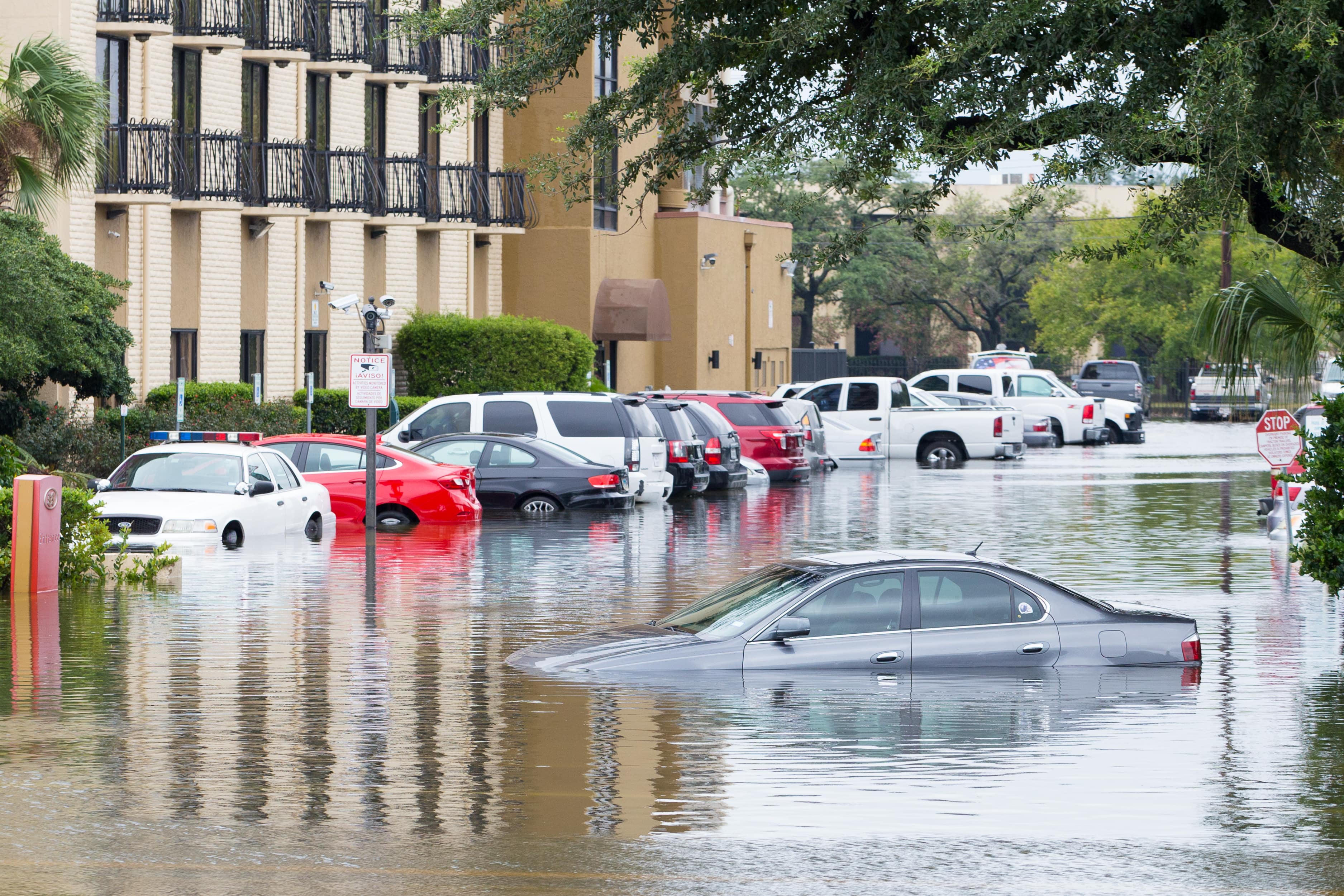 A parking lot filled with parked cars, several of which are submerged in floodwater. The flooding is severe, reaching up to the windows of some vehicles, highlighting the impact of extreme weather conditions.