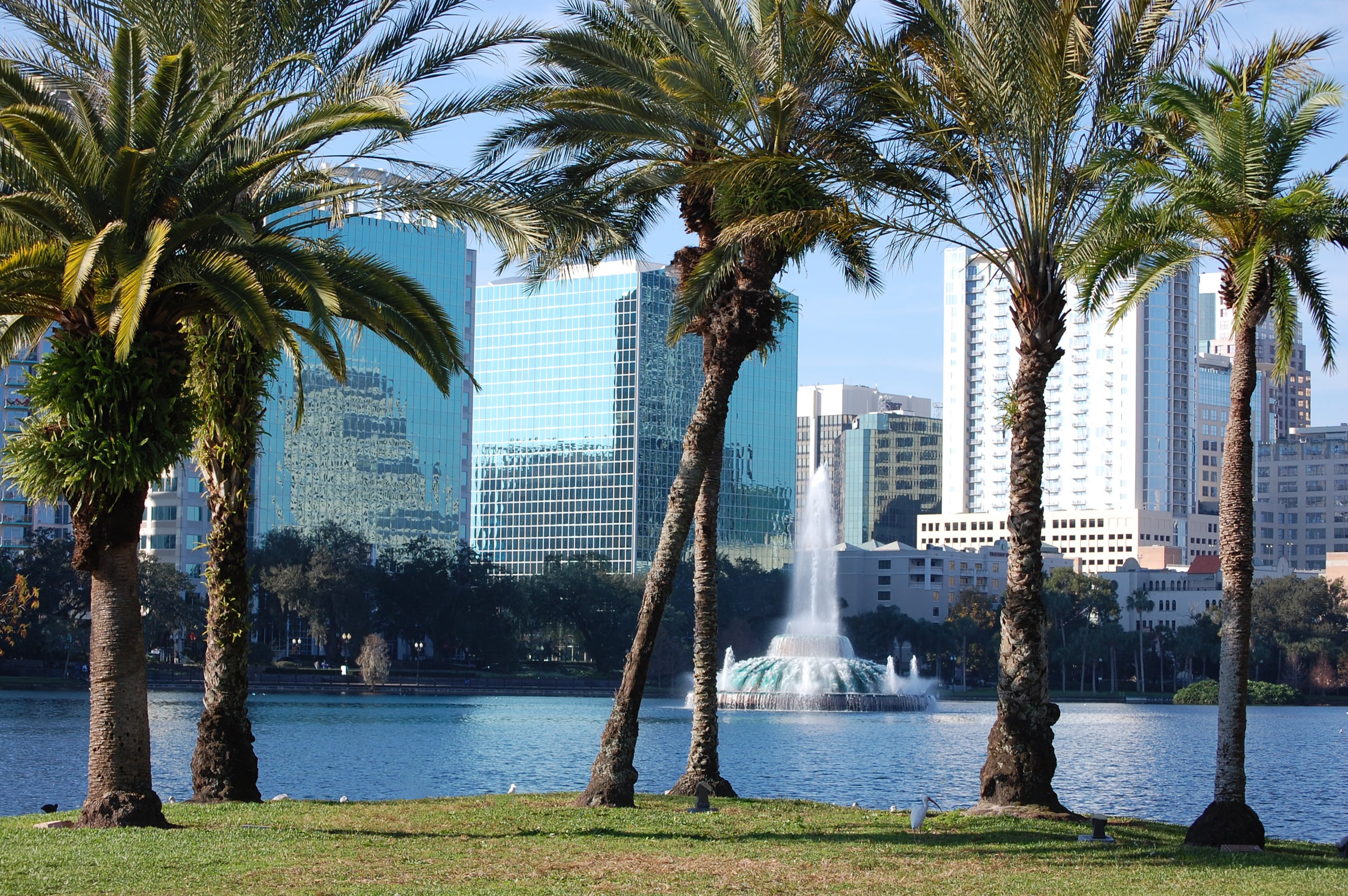 Scenic view of downtown Orlando skyline framed by palm trees and a fountain at Lake Eola Park.