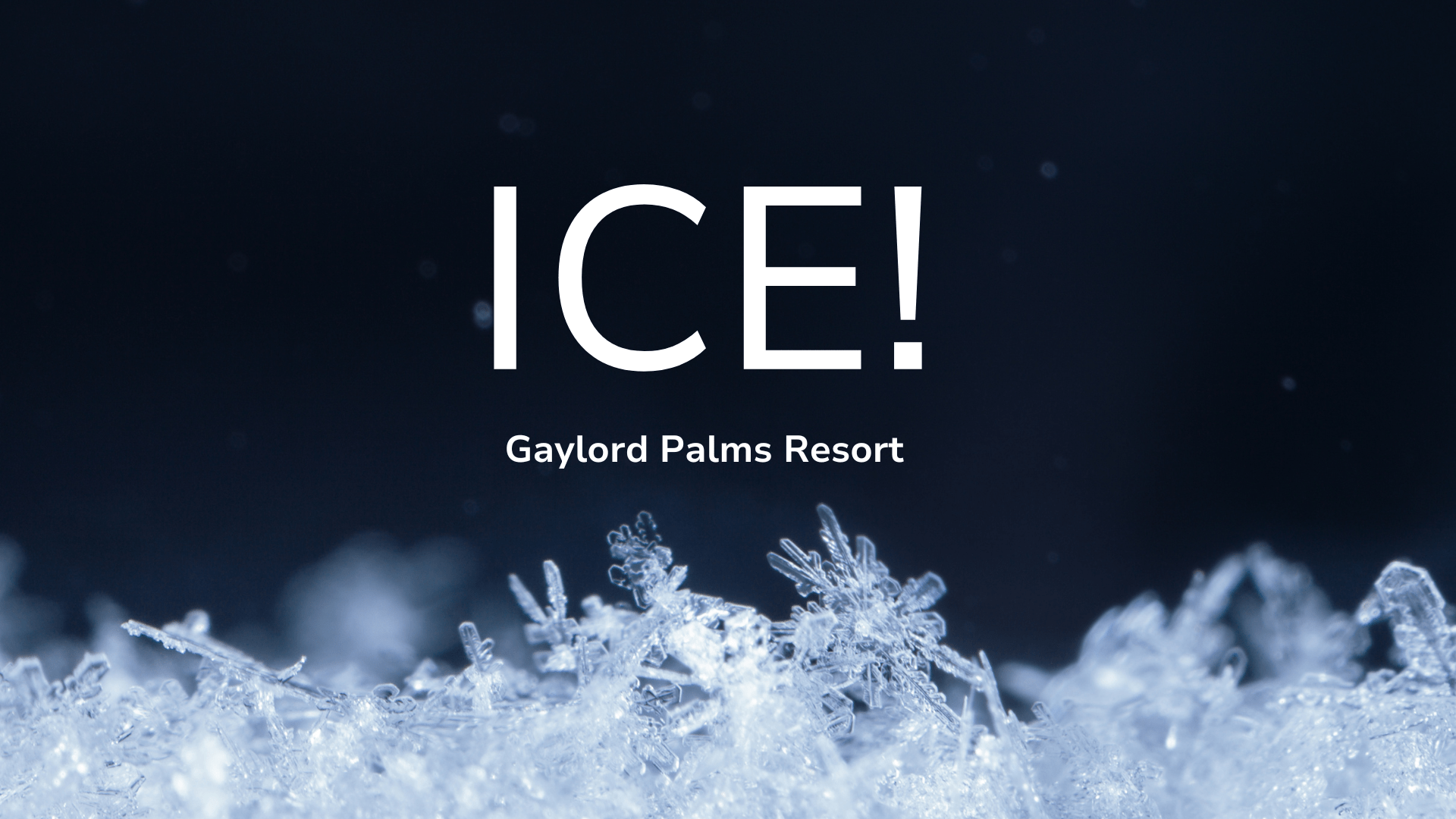 A stylish Instagram graphic with a blue and white color theme, ICE! Gaylord Palms Resort with minimalist snowflake accents and bold text.