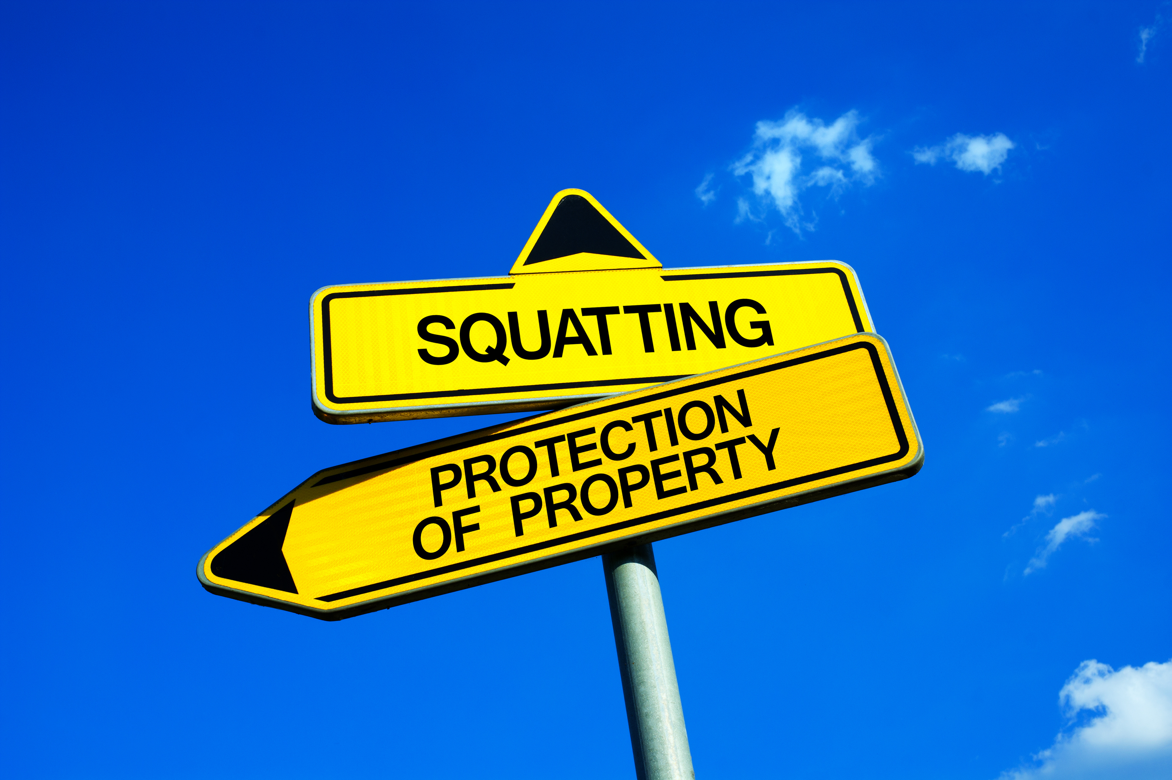 Directional street signs labeled “Squatting” and “Protection of Property” under a clear blue sky, highlighting the legal conflict over property rights.